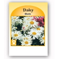 Promotional Custom Seed Packet- Daisy